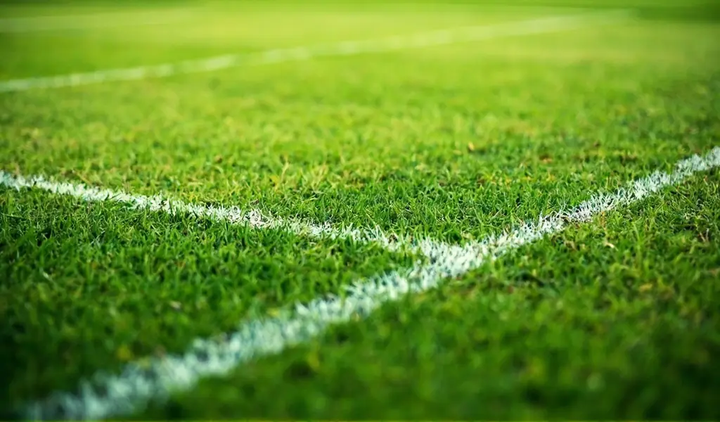 Wankhede pitch